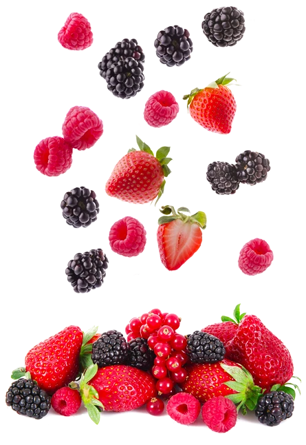 Fragole, lamponi, more e ribes