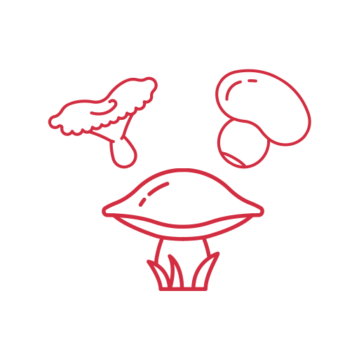 Funghi